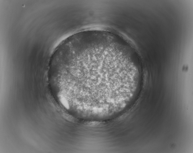 X0000112011166200909141118