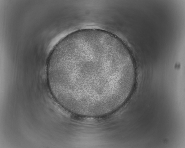X0000112011167200909141118