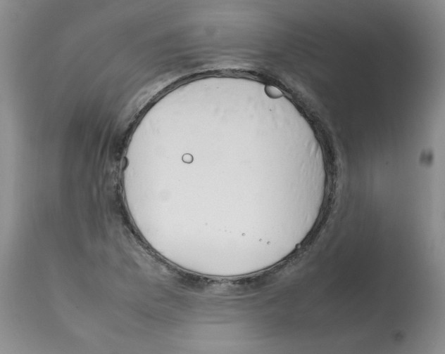 X0000112011169200909141118