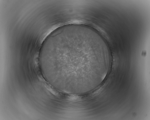 X0000112011170200909141118