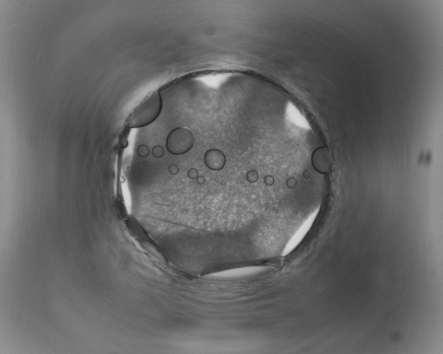 X0000112011171200909141118