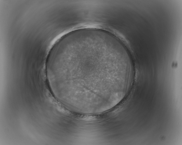 X0000112011174200909141118