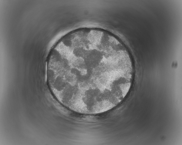 X0000112011175200909141118