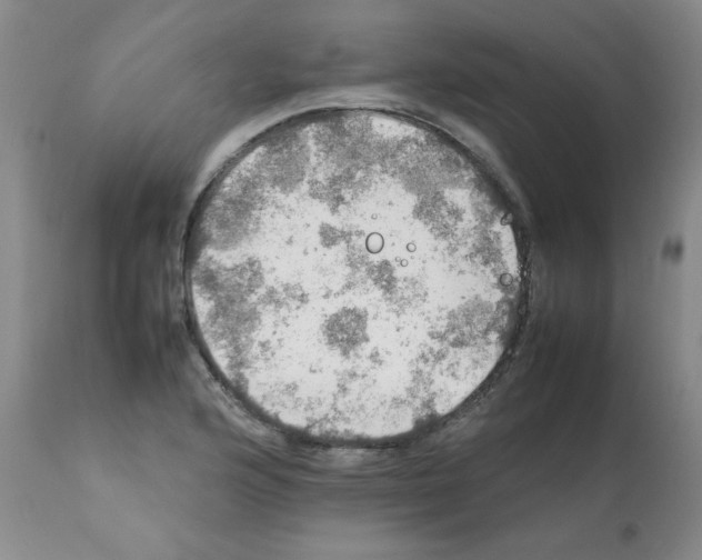 X0000112011176200909141118