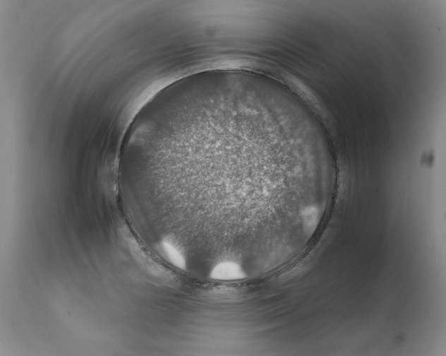 X0000112011178200909141118