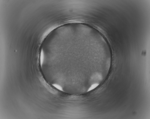 X0000112011179200909141118