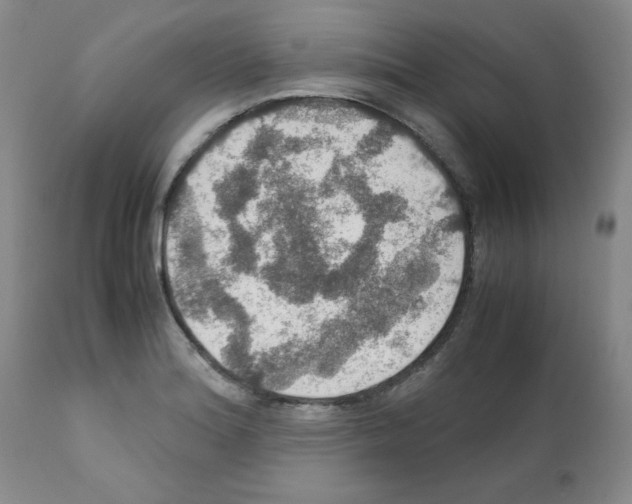 X0000112011180200909141118
