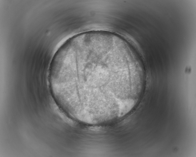 X0000112011182200909141118