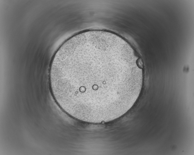 X0000112011183200909141118