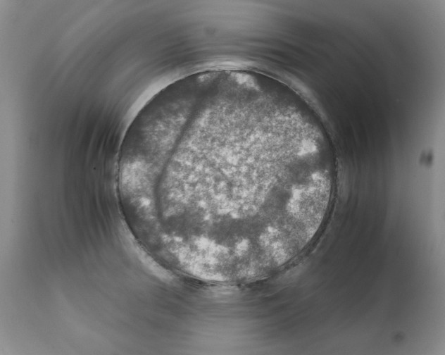 X0000112011186200909141118