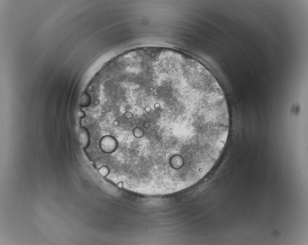 X0000112011188200909141118