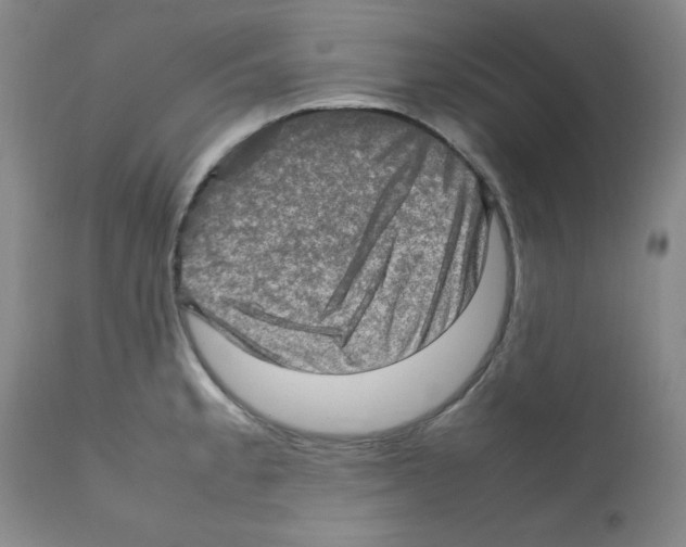 X0000112011189200909141118