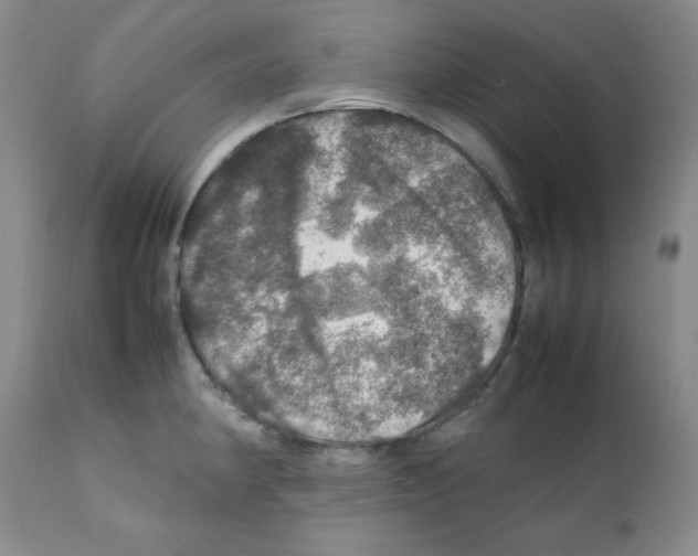 X0000112011190200909141118