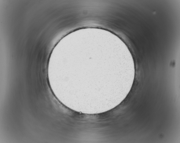 X0000112011191200909141118
