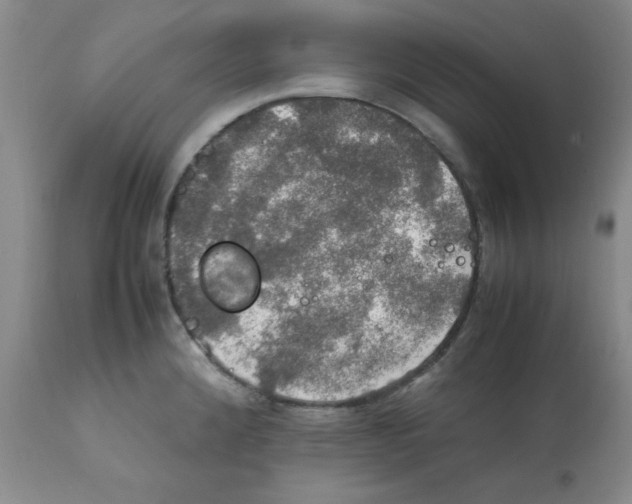 X0000112011192200909141118
