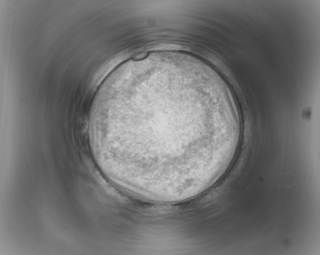 X0000112011193200909141118