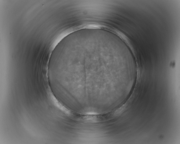 X0000112011194200909141118