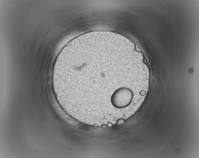 X0000112011195200909141118