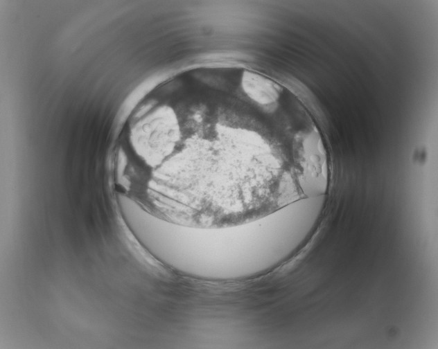 X0000112011196200909141118