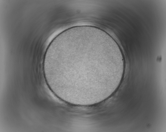X0000112011197200909141118