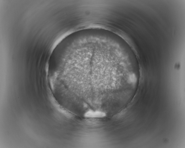 X0000112011198200909141118