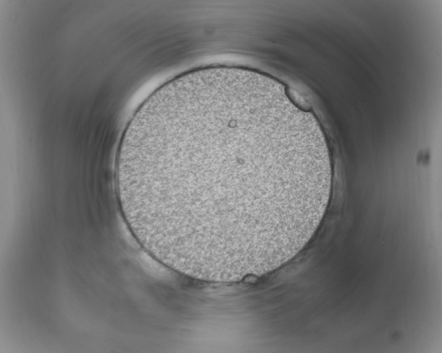 X0000112011199200909141118