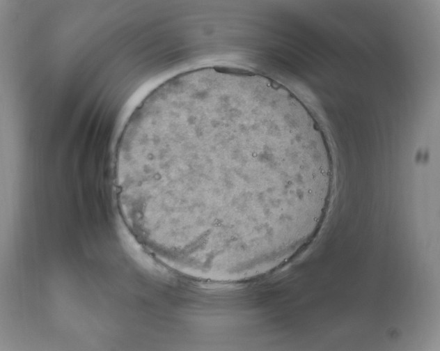 X0000112011200200909141118