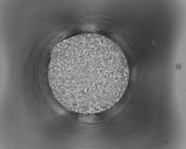 X0000112011201200909141117