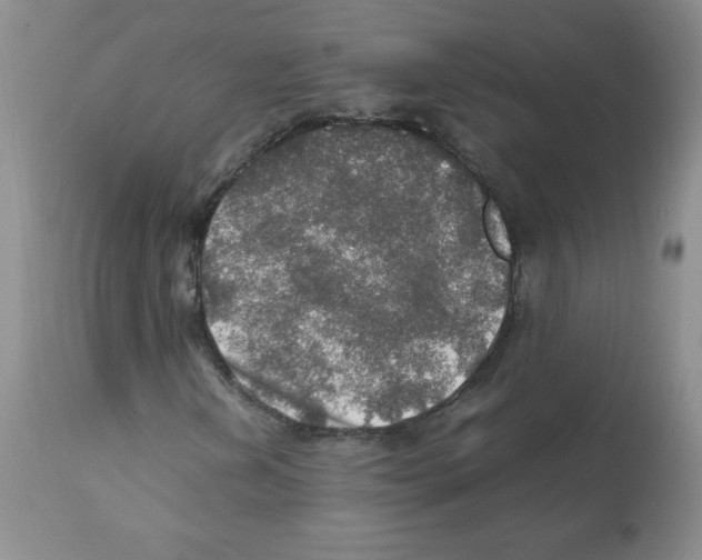 X0000112011202200909141117
