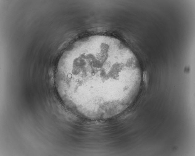 X0000112011203200909141117