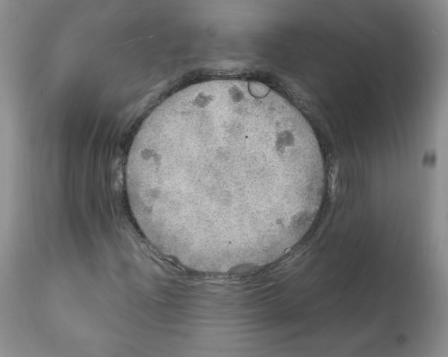 X0000112011204200909141117