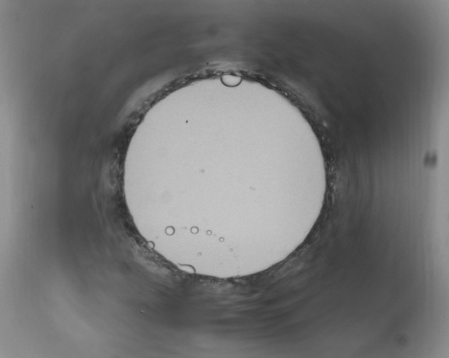 X0000112011207200909141117