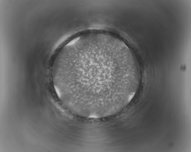 X0000112011208200909141117