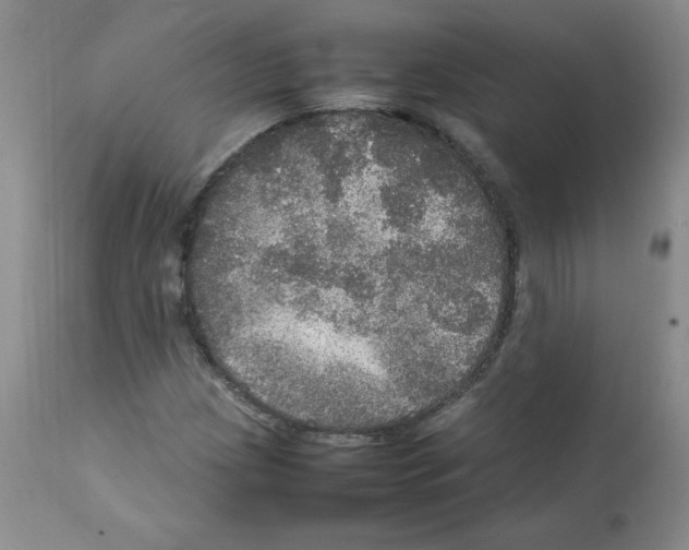 X0000112011209200909141117