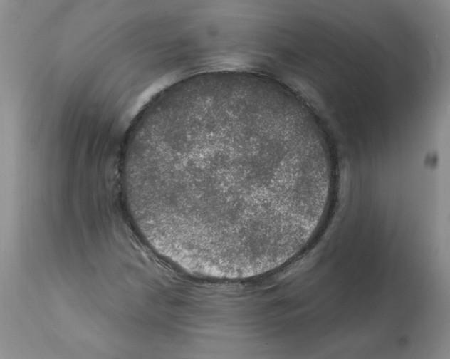 X0000112011210200909141117