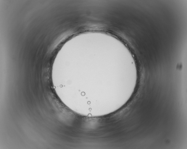 X0000112011211200909141117