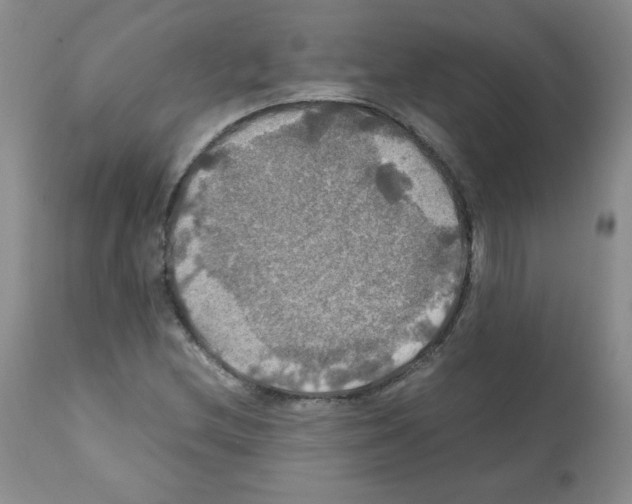 X0000112011212200909141117