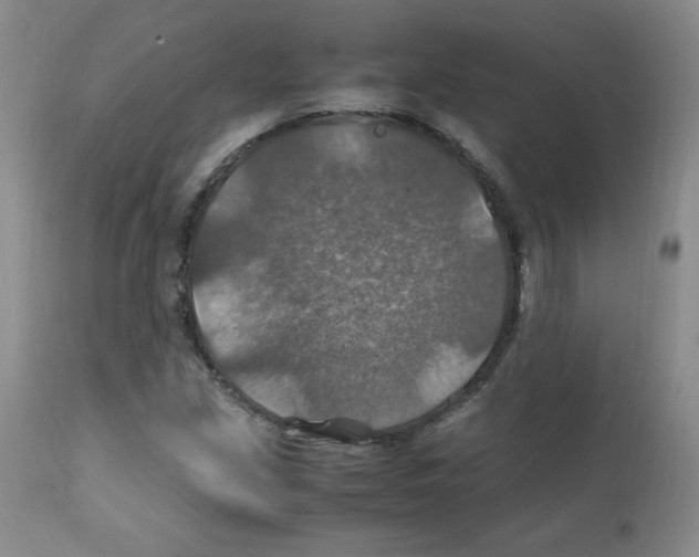 X0000112011213200909141118