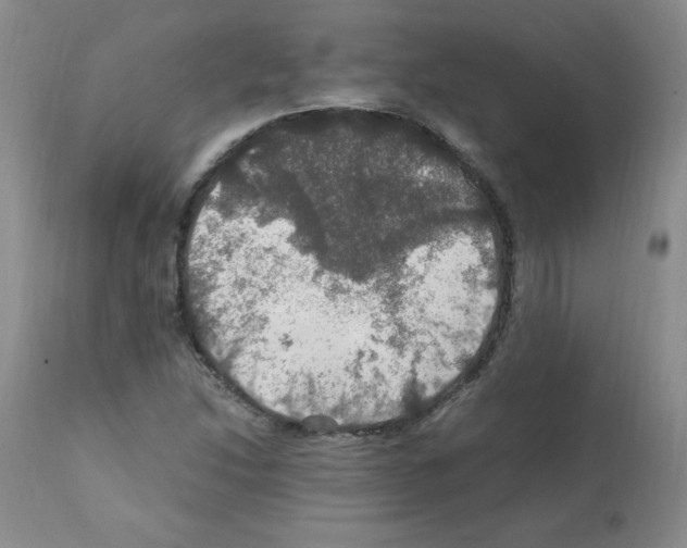 X0000112011214200909141118