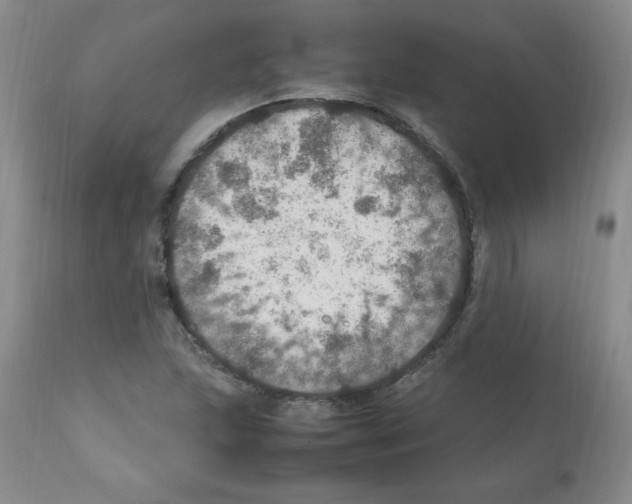 X0000112011215200909141118