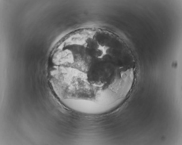 X0000112011216200909141118