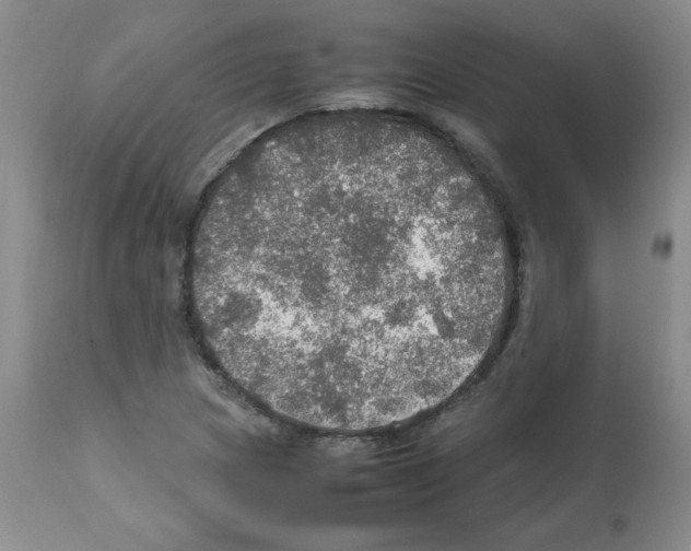 X0000112011217200909141118
