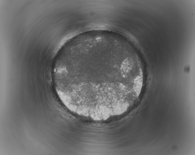 X0000112011218200909141118