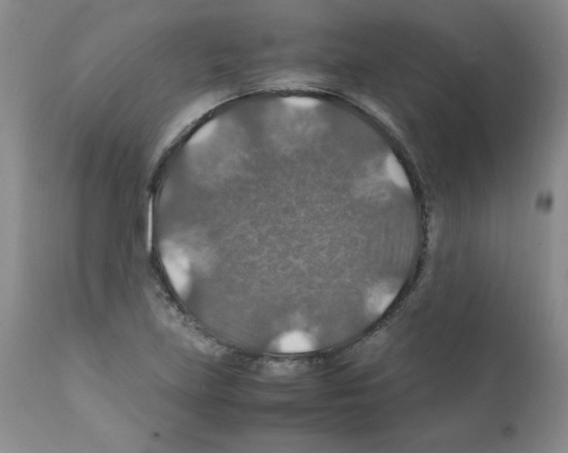 X0000112011219200909141118