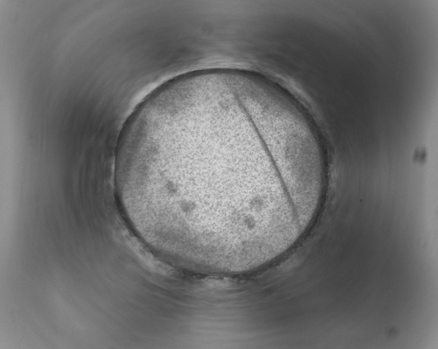 X0000112011220200909141118