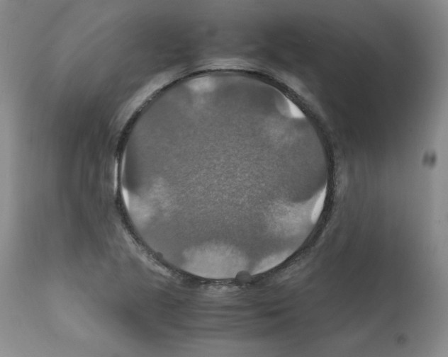 X0000112011221200909141118