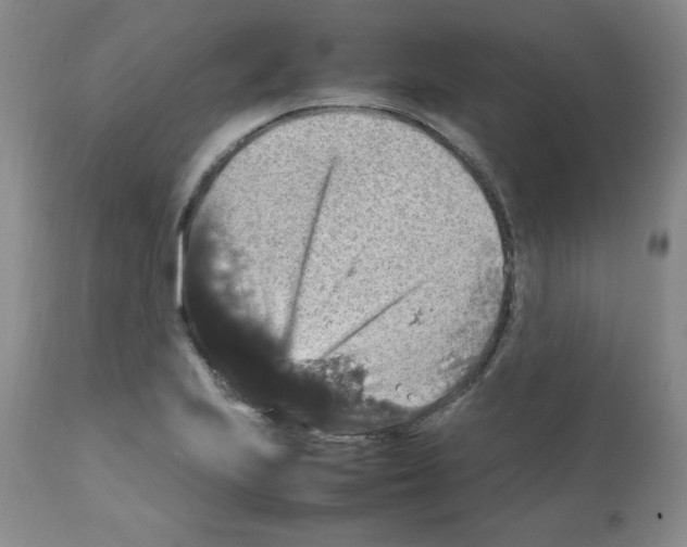 X0000112011223200909141118