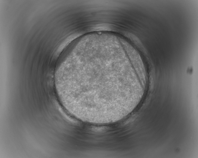 X0000112011225200909141118