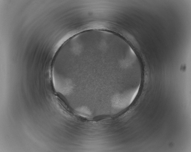 X0000112011226200909141118