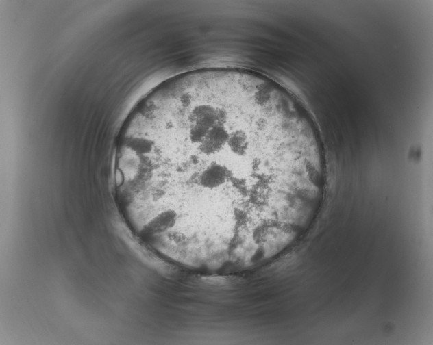 X0000112011227200909141118